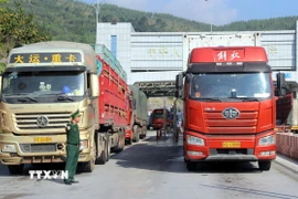 Hoạt động xuất nhập khẩu qua cửa khẩu Chi Ma (Lạng Sơn) thông thoáng. (Ảnh: Văn Đạt/TTXVN)