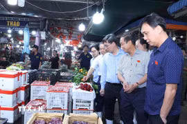 Các đại biểu thành viên đoàn giám sát của Hội đồng Nhân dân Thành phố Hồ Chí Minh khảo sát mặt hàng trái cây tại chợ Bình Điền. (Ảnh: Đinh Hằng/TTXVN)