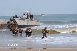 Các lực lượng Mỹ và Ấn Độ tham gia cuộc tập trận “Tiger Triumph 2025”. (Ảnh: ANI/TTXVN)