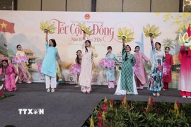 Biểu diễn văn nghệ tại Tết Cộng đồng 2026. (Ảnh: Việt Dũng/TTXVN)