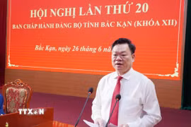 Ủy viên Ban Chấp hành Trung ương Đảng, Bí thư Tỉnh ủy Bắc Kạn Hoàng Duy Chinh phát biểu tại hội nghị. (Ảnh: Nguyễn Công Hải/TTXVN)