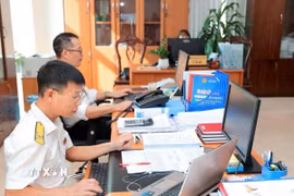 Cán bộ, công chức Cục Thuế tỉnh Hòa Bình rà soát, chuẩn hóa dữ liệu số định danh cá nhân làm mã số thuế cá nhân. (Ảnh: Phạm Hậu/TTXVN)