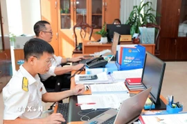 Cán bộ, công chức Cục Thuế tỉnh Hòa Bình rà soát, chuẩn hóa dữ liệu số định danh cá nhân làm mã số thuế cá nhân. (Ảnh: Phạm Hậu/TTXVN)