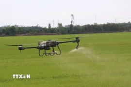 Thiết bị bay không người lái phun thuốc bảo vệ thực vật trên cánh đồng lúa xã Tân Nghĩa, huyện Cao Lãnh, Đồng Tháp. (Ảnh: Nguyễn Văn Trí/TTXVN)