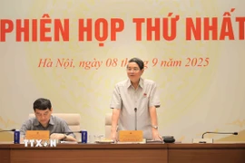 Phó Chủ tịch Quốc hội Nguyễn Đức Hải, Ủy viên Hội đồng bầu cử quốc gia, trưởng Tiểu ban Thông tin tuyên truyền Hội đồng bầu cử quốc gia phát biểu. (Ảnh: An Đăng/TTXVN)