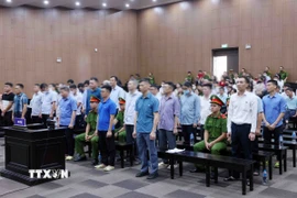 Các bị cáo tại phiên tòa xét xử. (Ảnh: Phạm Kiên/TTXVN)