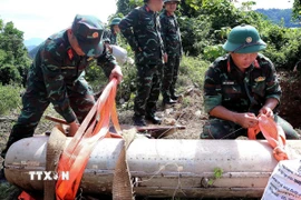 Cán bộ, chiến sỹ chuyên ngành cẩn trọng thực hiện kiểm tra bom CBU-87 trước khi đưa xuống hố hủy nổ. (Ảnh: Thanh Hải/TTXVN)