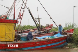 Ngư dân chằng chống, gia cố tàu thuyền để ứng phó với bão tại Trạm Quản lý đường sông cửa Đáy, xã Kim Đông, tỉnh Ninh Bình. (Ảnh: Thùy Dung/TTXVN)