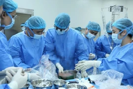 Êkíp tiến hành lấy gan người hiến tại Bệnh viện E. (Nguồn: Báo Nhân Dân)