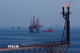 Các giàn khoan trên mỏ Bạch Hổ. (Ảnh: Huy Hùng/TTXVN)