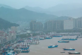 Các tàu thuyền tránh trú bão tại cảng Shipu, thành phố Ninh Ba, tỉnh Chiết Giang, miền Đông Trung Quốc. (Ảnh: Tân hoa xã)