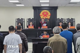 Hội đồng xét xử công bố bản án sơ thẩm. (Ảnh: Kim Anh/TTXVN)