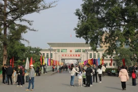 Khách du lịch chờ nhập cảnh tại cửa khẩu Móng Cái sáng mùng 1 Tết Ất Tỵ. (Ảnh: Cổng thông tin điện tử thành phố Móng Cái)