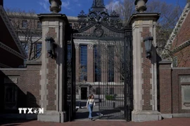 Khuôn viên Trường Đại học Harvard ở Cambridge, Massachusetts, Mỹ ngày 15/4/2025. (Ảnh: Reuters/TTXVN)