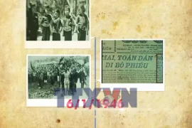 Người sưu tầm thẻ cử tri, gìn giữ ký ức lịch sử