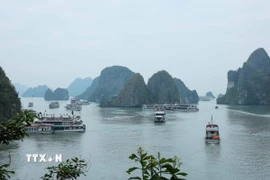 Tái diễn tình trạng nuôi trồng thủy sản trái phép trên Vịnh Hạ Long. (Ảnh minh họa: Hoàng Hiếu/TTXVN)