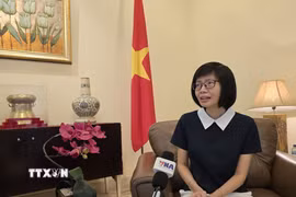 Đại sứ Tôn Thị Ngọc Hương, Trưởng Phái đoàn đại diện thường trực Việt Nam tại ASEAN. (Ảnh: Lê Minh Hưởng/TTXVN)