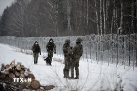 Binh sỹ Ba Lan tuần tra tại khu vực biên giới với Belarus ở gần làng Szudzialowo, Đông Bắc Ba Lan ngày 9/12/2021. (Ảnh: PAP/TTXVN)
