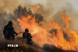 Lính cứu hỏa dập đám cháy rừng trên đảo Crete, Hy Lạp ngày 3/7/2025. (Ảnh: THX/TTXVN)