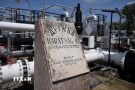 Đường ống dẫn dầu Druzhba ở Szazhalombatta, Hungary. (Ảnh: THX/TTXVN)