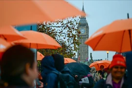 Các bác sỹ ở Anh bắt đầu cuộc đình công 5 ngày giữa lúc dịch cúm bùng phát mạnh.(Ảnh: AA)