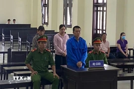 Bị cáo Lê Minh Luân bị tuyên phạt 20 năm tù vì tham ô tài sản của ngân hàng thương mại ở Cần Giuộc, Long An. (Ảnh: TTXVN phát)