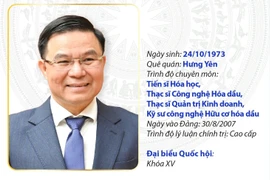 Quyền Bộ trưởng Bộ Công thương Lê Mạnh Hùng