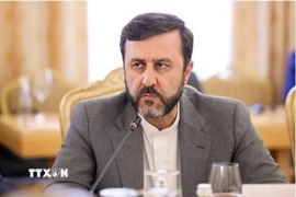 Thứ trưởng Ngoại giao Iran Kazem Gharibabadi. (Ảnh: IRNA/TTXVN)