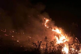 Đám cháy rừng tại phường Nam Khê, thành phố Uông Bí, tỉnh Quảng Ninh. (Ảnh: TTXVN phát)