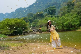 Du khách thích thú với những cánh bướm mỏng manh. (Ảnh: Đức Phương/TTXVN)