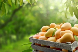 (Ảnh: iStock)