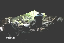 Khu vực cửa vào "hang Dơi 1", hang động được các nhà khảo sát Viện Sinh học Nhiệt đới và Hội hang động Berlin (Cộng hòa Liên bang Đức) đánh giá hang dung nham dài nhất khu vực Đông Nam Á. (Ảnh: Sỹ Tuyên/TTXVN)