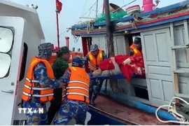 Cán bộ Hải đội Biên phòng 2, Ban Chỉ huy BĐBP tỉnh Ninh Bình cứu nạn và đưa nạn nhân vào bờ. (Ảnh: TTXVN phát)