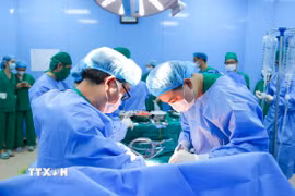 Các bác sỹ Bệnh viện Nhi đồng 2 Thành phố Hồ Chí Minh ghép thận cho bệnh nhi. (Ảnh: TTXVN phát)