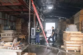 Lực lượng cứu hỏa kịp thời khống chế đám cháy, bảo vệ an toàn xưởng gỗ chứa hàng nghìn m3 nguyên liệu. (Ảnh: Hoàng Ngọc/TTXVN)