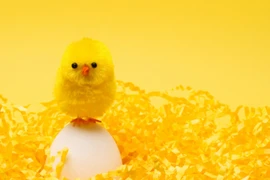 Ảnh minh họa. (Nguồn: ARCJ)