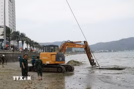Thực hiện trục vớt chiếc xe tăng. (Ảnh: Sỹ Thắng/TTXVN)