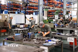 Công nhân làm việc tại Công ty Cơ khí Động lực Toàn Cầu, khu công nghiệp Giang Điền, xã Trảng Bom. (Ảnh: Hồng Đạt/TTXVN)