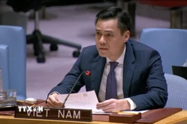 Đại sứ Đặng Hoàng Giang, Trưởng Phái đoàn Thường trực Việt Nam tại LHQ. (Ảnh: Hoài Thanh/TTXVN)