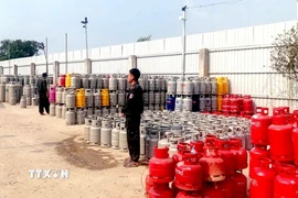Hàng trăm bình gas các loại bị Công an tỉnh Tây Ninh phát hiện, thu giữ tại hiện trường trong chuyên án triệt phá đường dây sản xuất, buôn bán gas giả. (Ảnh: TTXVN phát)