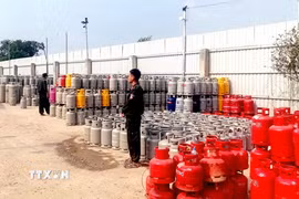 Hàng trăm bình gas các loại bị Công an tỉnh Tây Ninh phát hiện, thu giữ tại hiện trường trong chuyên án triệt phá đường dây sản xuất, buôn bán gas giả. (Ảnh: TTXVN phát)