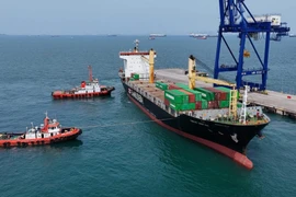 Tàu chở 4 container chứa rác thải điện tử nguy hại trả về Mỹ tại cảng Batu Ampar ở Batam, quần đảo Riau, ngày 20/1. (Ảnh: thejakartapost)