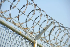 (Ảnh: ifsecglobal)