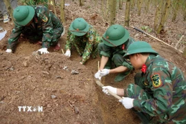 Lực lượng chức năng tìm kiếm quy tập hài cốt liệt sỹ. (Ảnh: TTXVN phát)