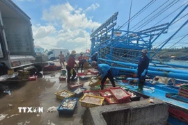 Bốc dỡ hải sản của một tàu cá đánh bắt xa bờ tại cảng cá Bình Châu, TP. Hồ Chí Minh. (Ảnh: Hoàng Nhị/TTXVN)