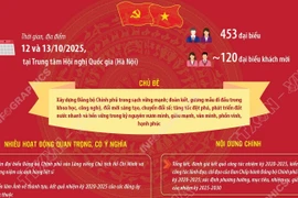 Đại hội đại biểu Đảng bộ Chính phủ lần thứ nhất, nhiệm kỳ 2025-2030