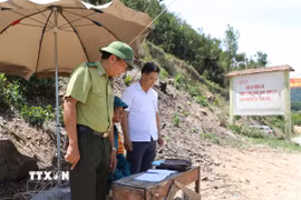 Huyện Diễn Châu đã thiết lập 6 chốt canh cửa rừng được duy trì lực lượng dân quân tự vệ, công an xã, kiểm lâm địa bàn trực 24/24h để kiểm soát người ra, vào rừng. (Ảnh: Xuân Tiến/TTXVN)