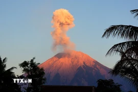 Tro bụi phun lên từ núi lửa Semeru, nhìn từ Lumajang, Đông Java, Indonesia. (Ảnh: THX/TTXVN)