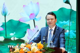 Ông Đặng Xuân Phong, Ủy viên Trung ương Đảng, Bí thư Tỉnh ủy Ninh Bình phát biểu tại hội nghị. (Ảnh: Đức Phương/TTXVN)