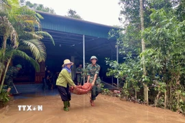 Lực lượng quân đội giúp người dân xã Cẩm Mỹ, huyện Cẩm Xuyên, Hà Tĩnh, di dời đồ đạc. (Ảnh: Hữu Quyết/TTXVN)